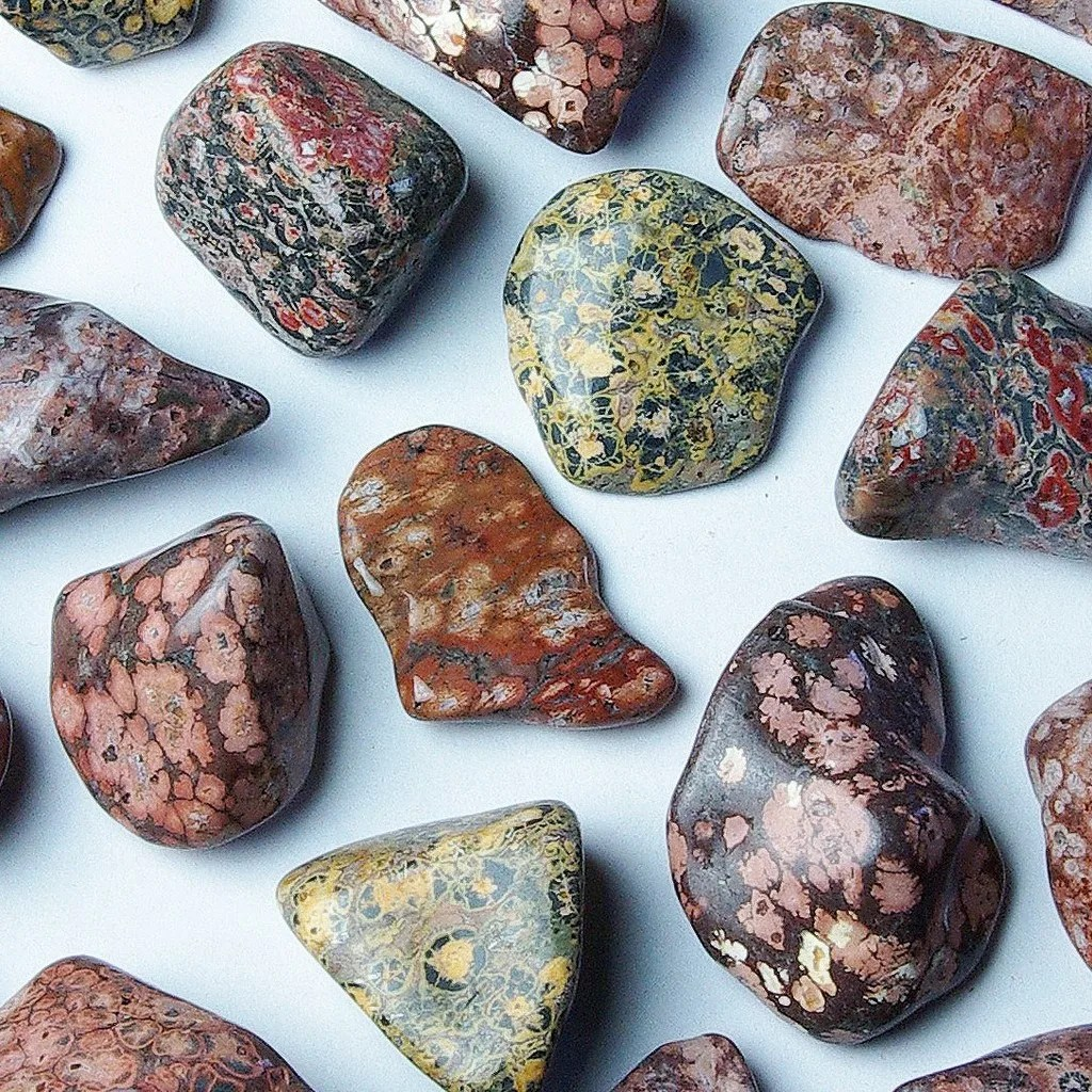 Leopard Skin Jasper