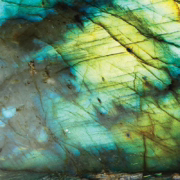 Labradorescence-gplabhero