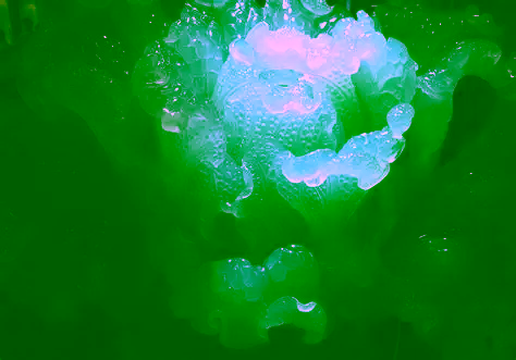 Classification and grading of jadeite